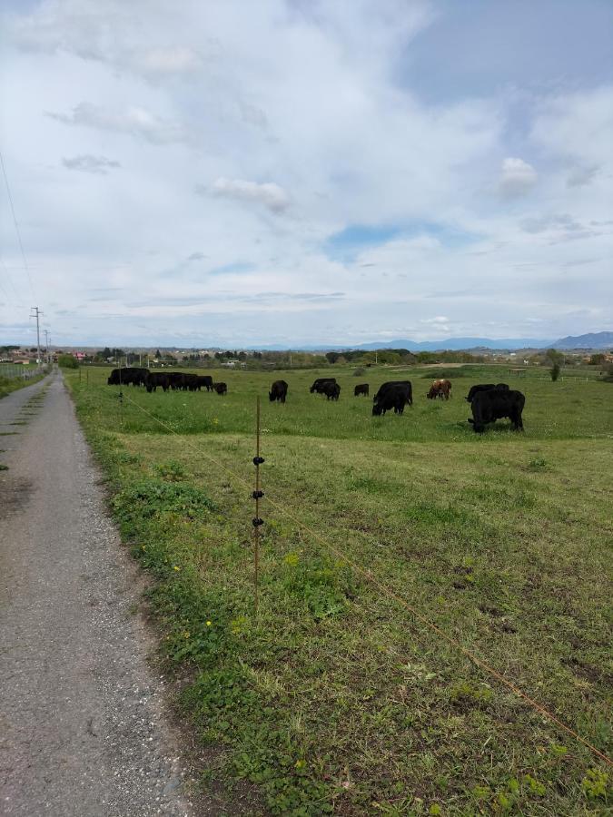 Rod Ranch Livestock - Appartamento Con Camino E Vista Piscina Campagnano Di Roma Exterior photo